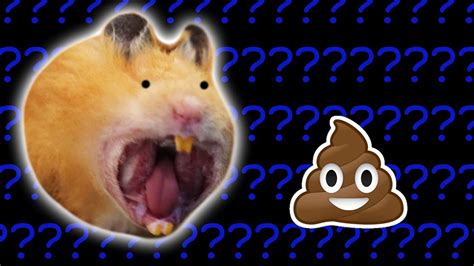 porno poop|Poo Hamster